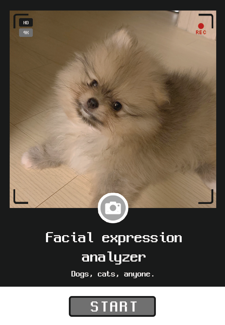 Facial Expression Analyzer|Dogs, cats, anyone
