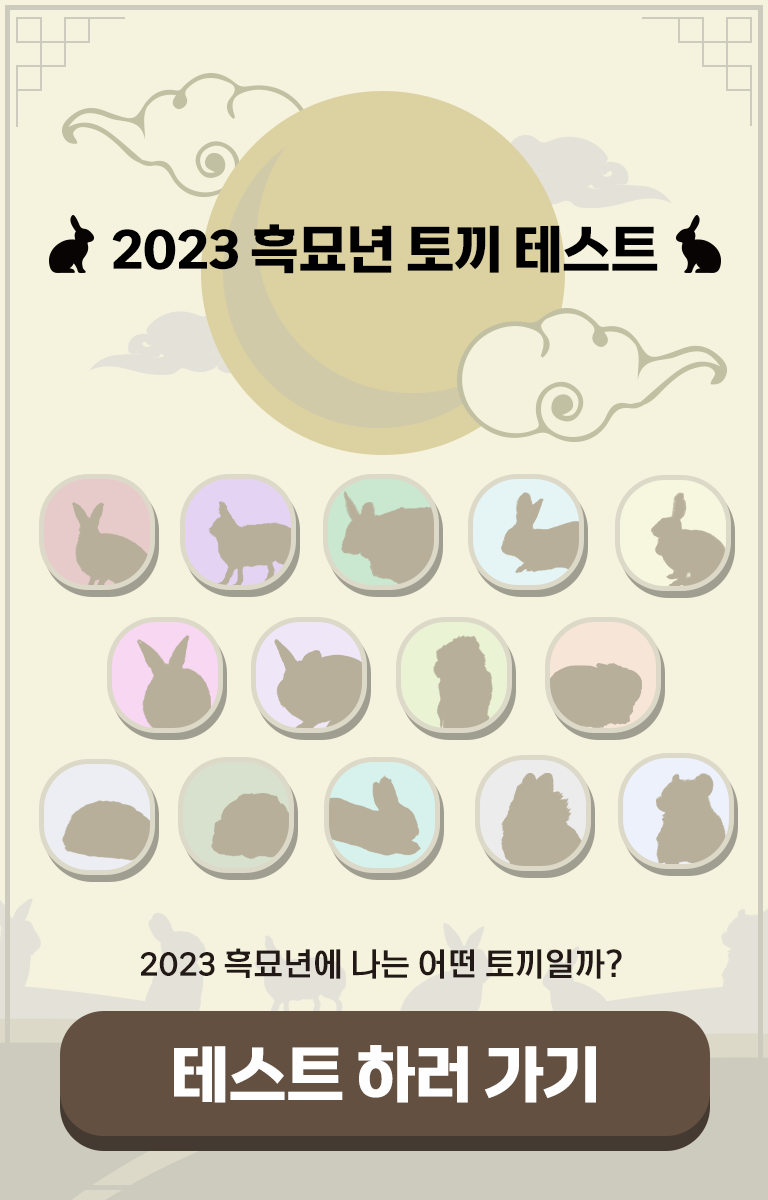 2023 흑묘년 토끼 테스트|2023 흑묘년 나는 무슨 토끼일까? | 2023 흑묘년 토끼 성격 테스트 | 토끼 테스트